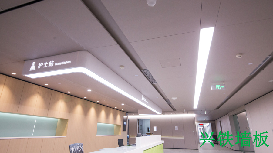 完美（中国）铝制勾挂天花板整体处理